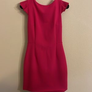 Hot Pink Zara dress